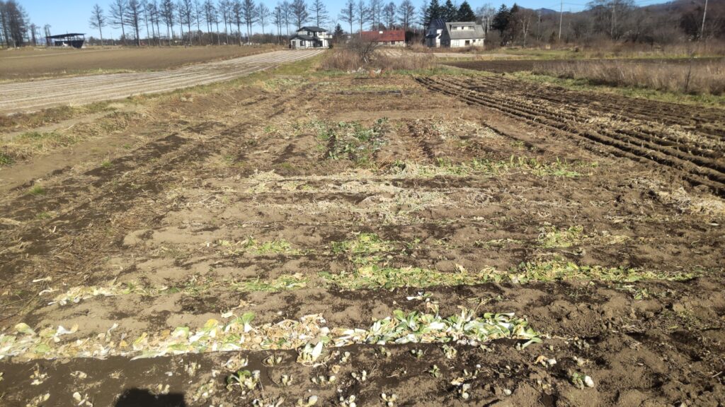 畑終了　野辺山高原・こっつぁんち農園