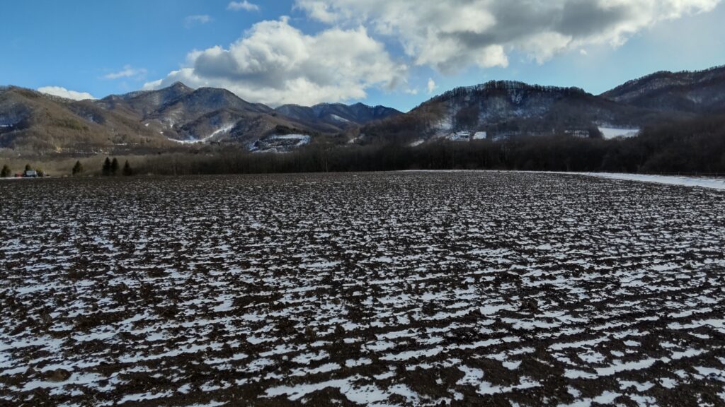 雪なし冬