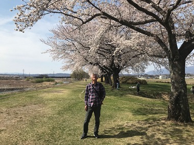 桜を見上げる