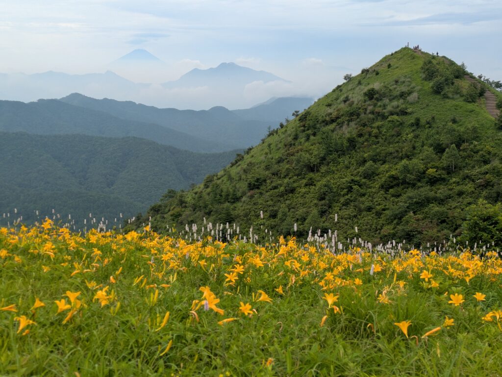 飯盛山とキスゲ