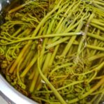 信州野辺山高原　こっつぁんちきらりＮＯＢＥＹＡＭＡカナディアンロッキー